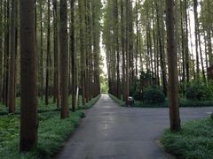 iphone_upload_pic-上海怡沁园度假酒店