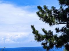 -南紀白浜 浜千鳥の湯 海舟