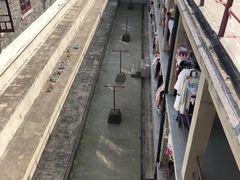 -武汉大学-樱园