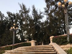 -宝安西湾红树林湿地公园