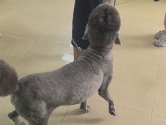 -瑞鹏·疫苗·绝育·宠物医院(金沙洲店)