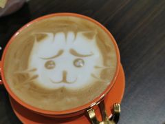 -猫色咖啡·猫咖