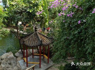 冬天来玩半天还是不错的,有植物有假山还有瀑布
