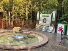 -天目湖涵田半山温泉