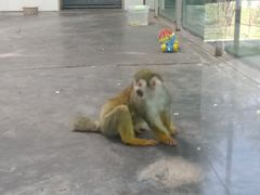 -西安秦岭野生动物园