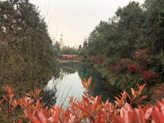-重庆九凤瑶池海明山庄