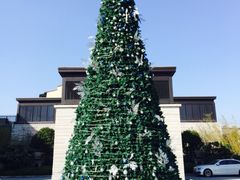 -上海崇明金茂凯悦酒店