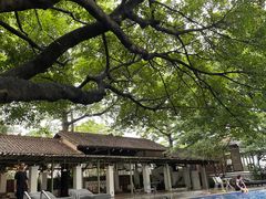 -喜洲吧·江畔老船厂·庭院餐厅(喜临院店)