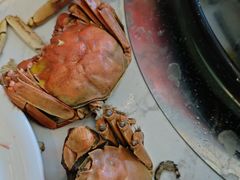 -半岛听涛蒸汽海鲜自助(K11店)