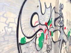 -罗汉果龙眼冰糖燉冬瓜