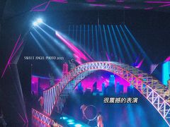 -重庆国际马戏城