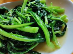 -鲤鱼塘农家山庄