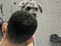 -宠物家(角门东店)