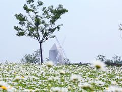 -同里国家湿地公园