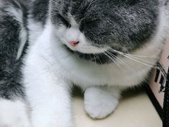 -宠颐生宠物医院外科·内科·皮肤科·影像科(石龙店)