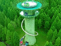 -黄海国家森林公园