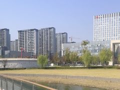 -金沙湖公园