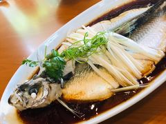 -宁波柏悦酒店·钱湖渔港