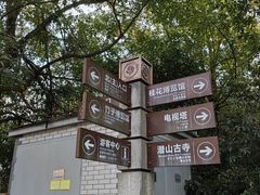 -潜山国家森林公园