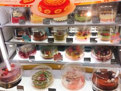 -哈根达斯(石家庄北国店)