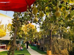 -萌宠亲子动物乐园(槐房万达店)