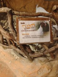 -奇幻萌宠部落(映月湖环宇城店)