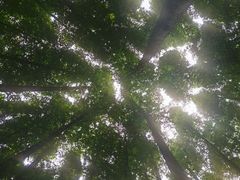 -山王坪喀斯特国家生态公园