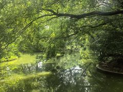 -人民公园(罗湖区)