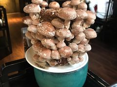 -捞王锅物料理(凯旋路店)