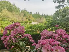 -洛阳市隋唐城遗址植物园