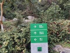 -火炉山森林公园
