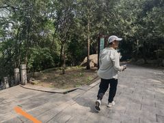 -北京凤凰岭