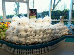 -渔岛海洋度假区