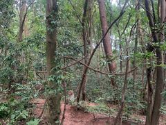 -黔灵山公园