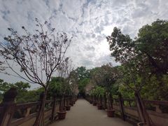 -南山植物园