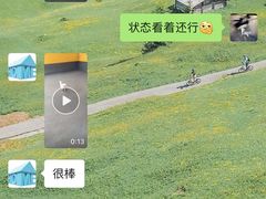 -宠物之家Pets Home 宠物寄养酒店