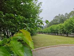 -同济大学(嘉定校区)