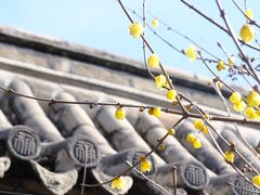 -胡氏古民居建筑