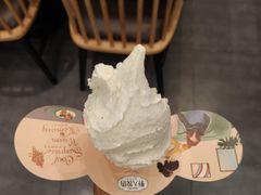 -野人先生现做冰淇淋(北京环宇荟店)