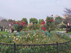 -堤角公园
