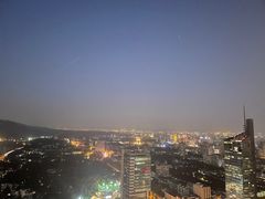 -紫峰大厦