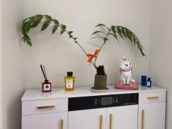 -WENDY·温迪皮肤管理