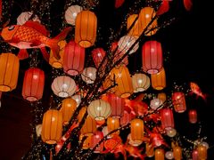 -龙湖星悦荟(颐和店)