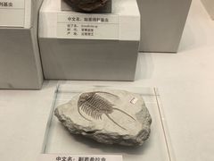 -天津自然博物馆