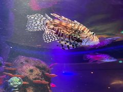 -沈阳海洋探索中心