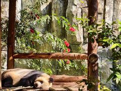 -泉州海丝野生动物世界