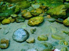 -陕西省红河谷森林公园