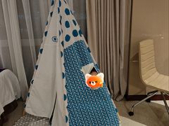 -南桥绿地铂骊酒店