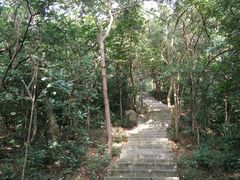 -野狸岛