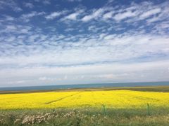 -青海湖国家重点风景名胜区